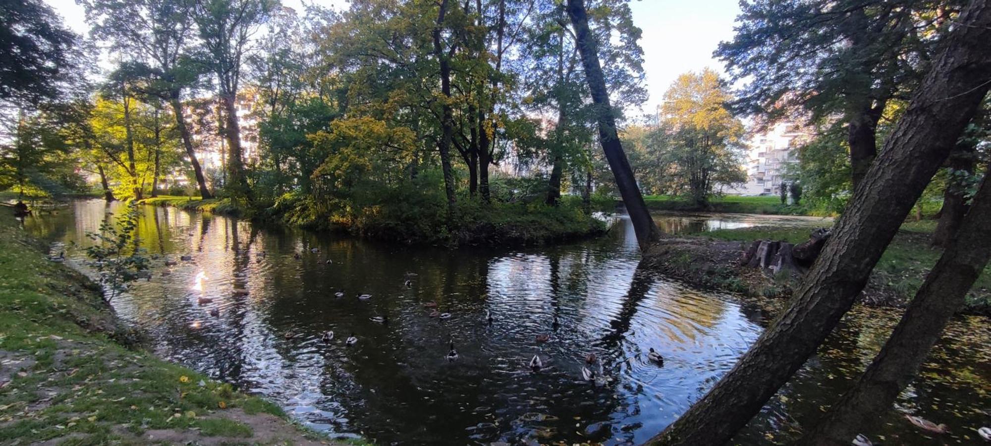 Apartment Gold Greenview Rzeszow